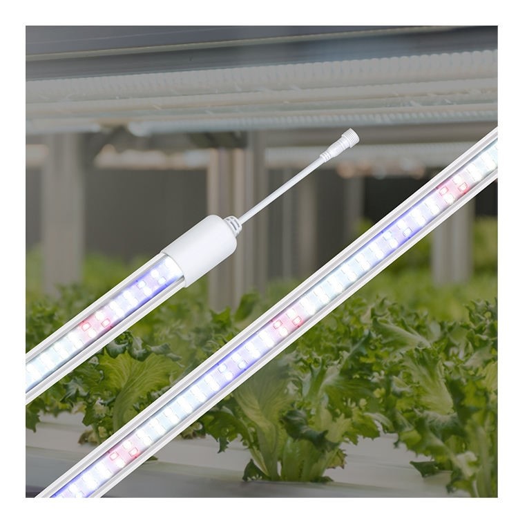 grow light light bulbs grow light light bulbs