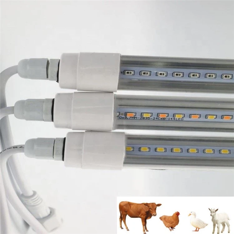 chicken lights for coop chicken lights for coop