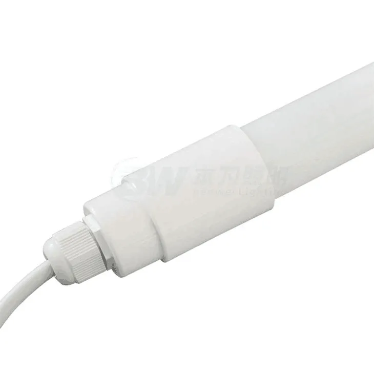 Poultry Led Light1 Poultry Led Light1