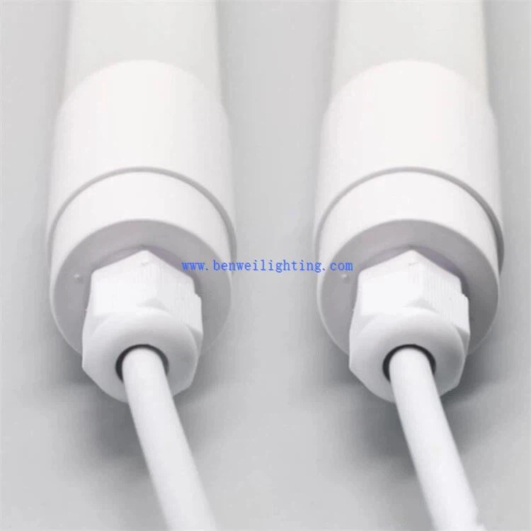 chicken light1 chicken light1