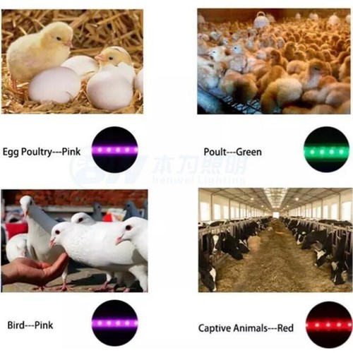 usage usage