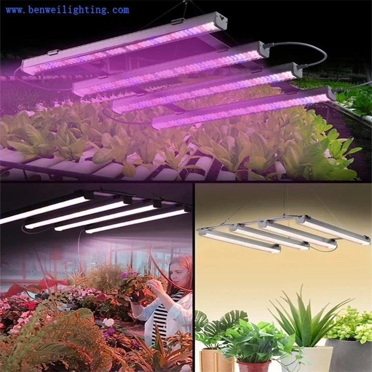 grow-lights-for-indoor-plants-integrated-ip658cad8 grow-lights-for-indoor-plants-integrated-ip658cad8