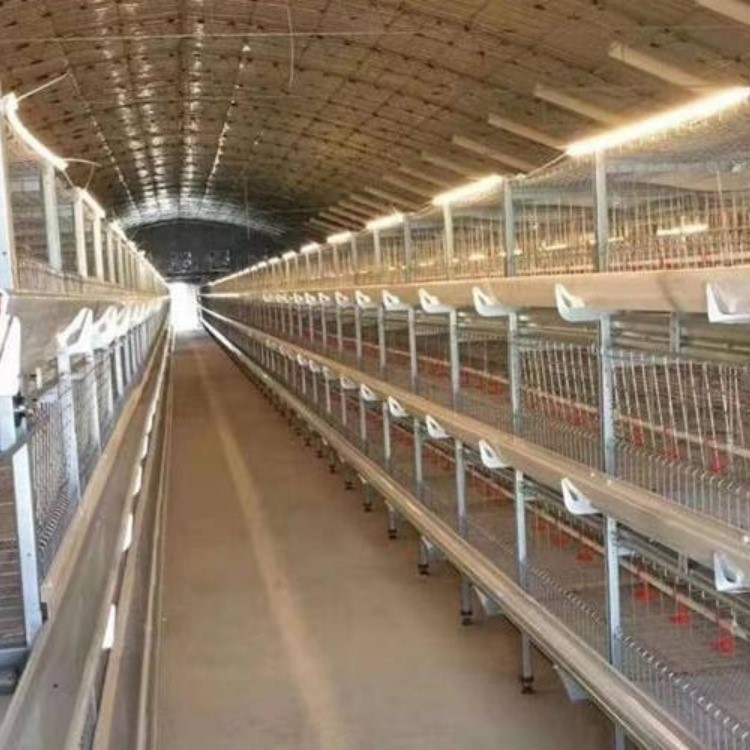 High Lumen Led Poultry Light High Lumen Led Poultry Light