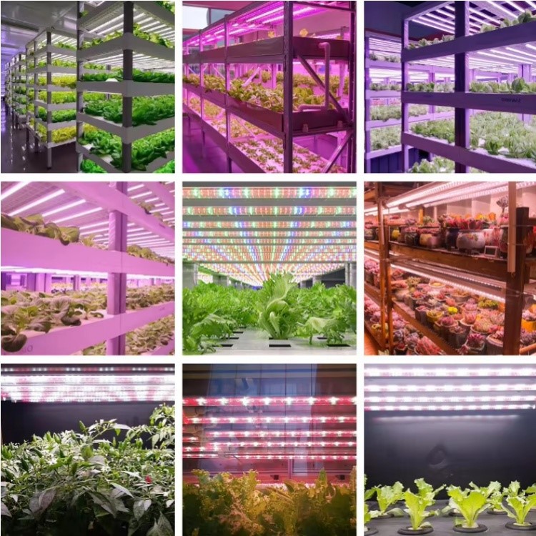 Integrated LED T8 UV Black Lights Integrated LED T8 UV Black Lights