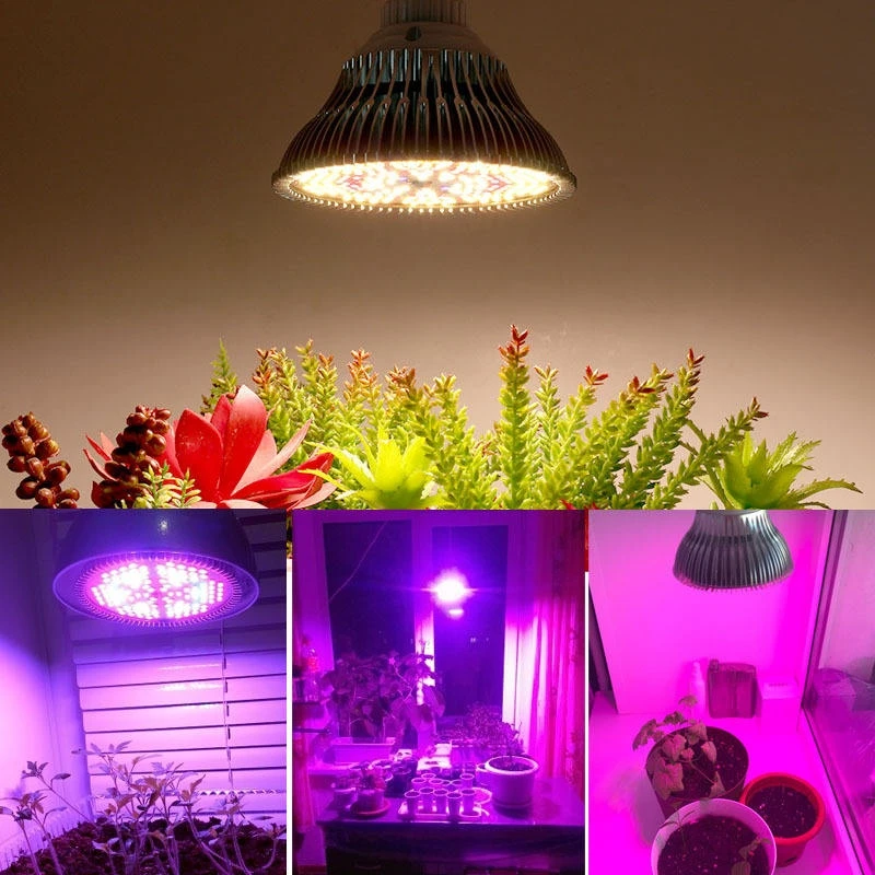 Professional Full Spectrum E27 LED Grow Bulb Lighting Professional Full Spectrum E27 LED Grow Bulb Lighting