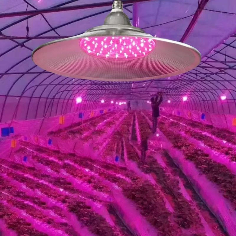 Full Spectrum Led Plants Grow Bulb Lights Full Spectrum Led Plants Grow Bulb Lights