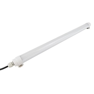 What are the light requirements for poultry?