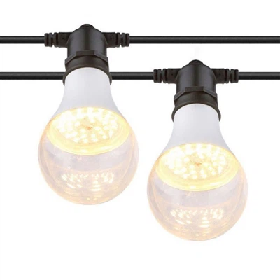 Why LED grow lights are the best choice for plants inside