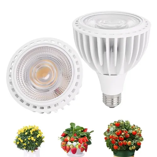 Can plants survive off of regular light bulbs?