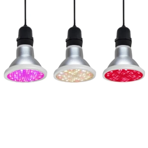 Why are full-spectrum LED plant lights better than ordinary lights?