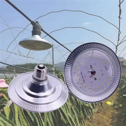 Are full spectrum dragon fruit grow bulbs perfect for outdoor pitaya orchards?