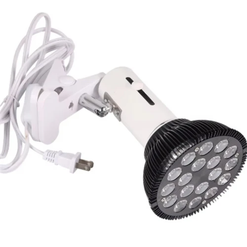 Can red LED therapy bulb light relieve joint pain?