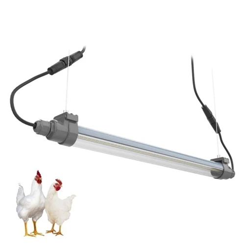 The Ultimate Guide to Poultry Lighting: Tried-and-True Methods to Increase ROI
