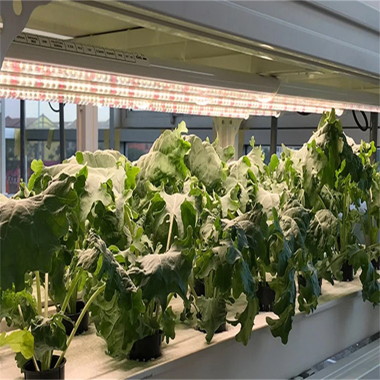 grow led tube installation 6 grow led tube installation 6