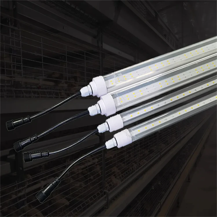 Hatchery Light 5 Hatchery Light 5