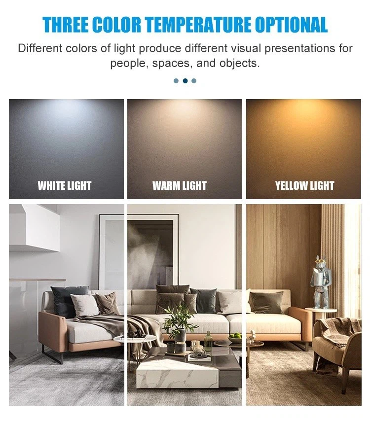 info-750-856 info-750-856