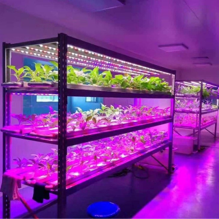 Integrated T8 Red&Blue LED Grow Light high quality
