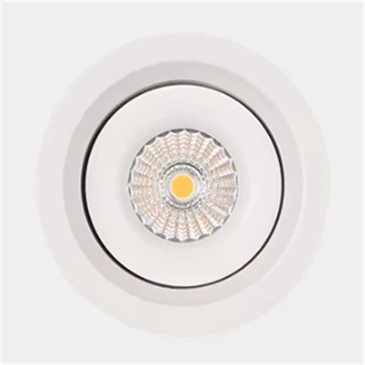 IP44 Recessed Adjustable Cob Downlight best
