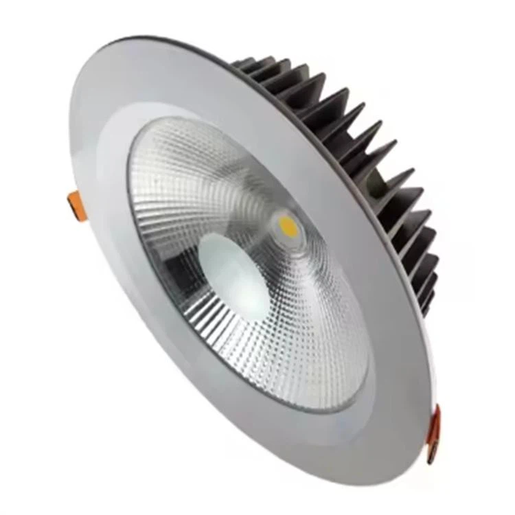 Led Down Light Die-Casting Aluminum factory