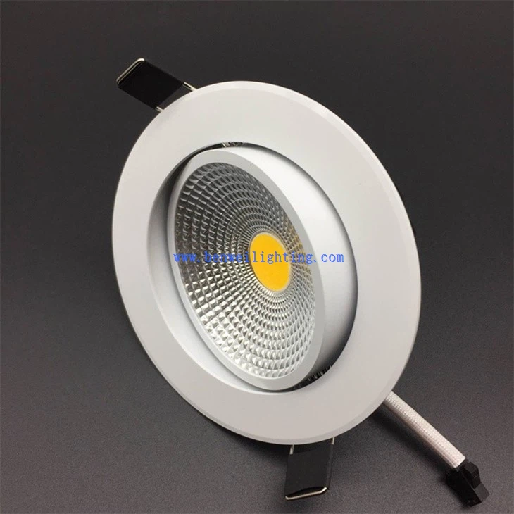 Led downlight china (4)
