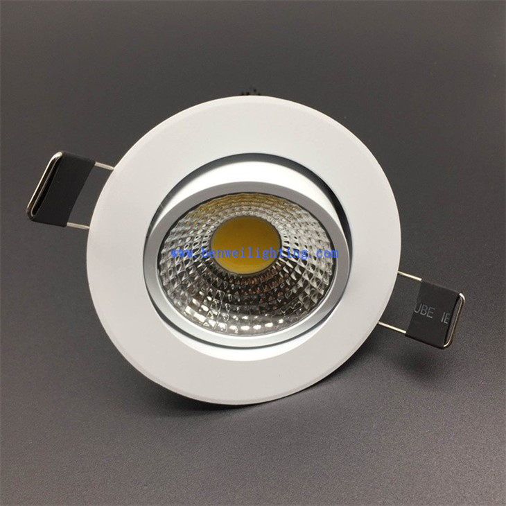 LED downlight (5)