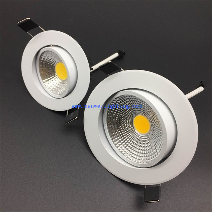LED downlight (4)