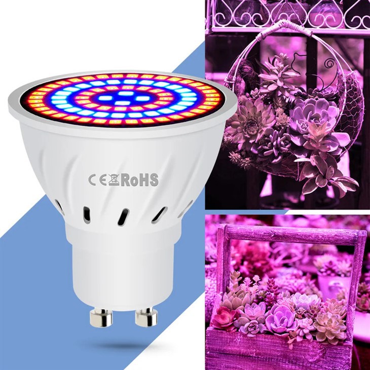 LED Grow Lights