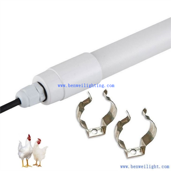 chicken coop light fixture