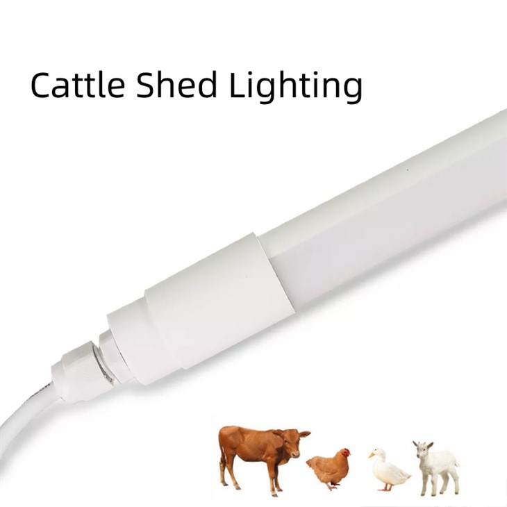 LED Light For Chicken Coop
