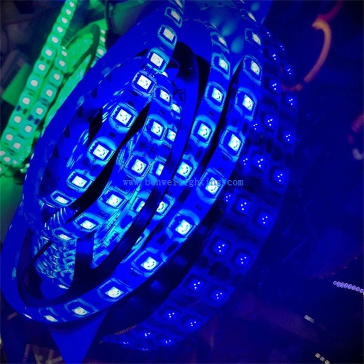 LED Neon Light Strip (4)