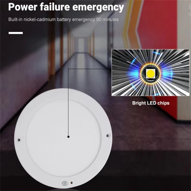motion activated light