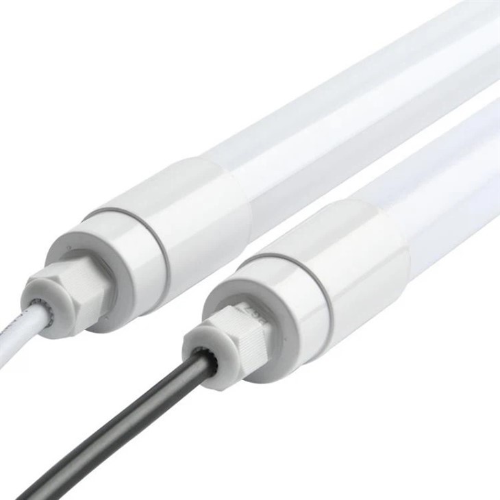 Lighting For Poultry