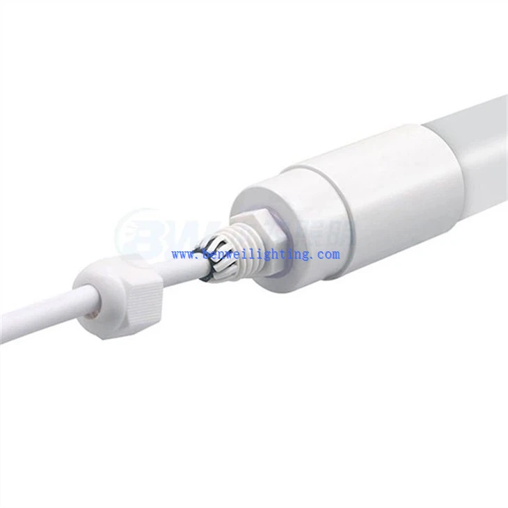 Milk house light (1)