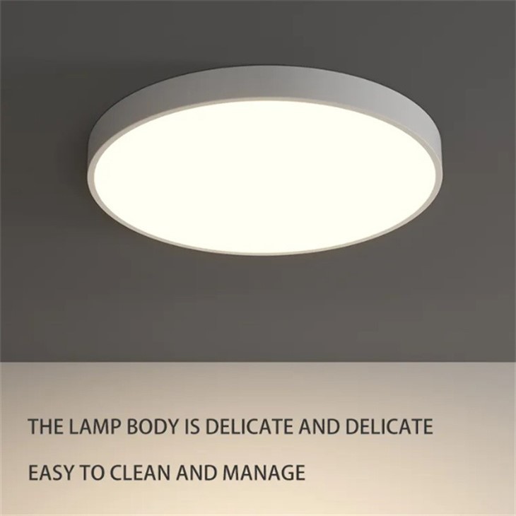 Modern Round Ceiling Light factory