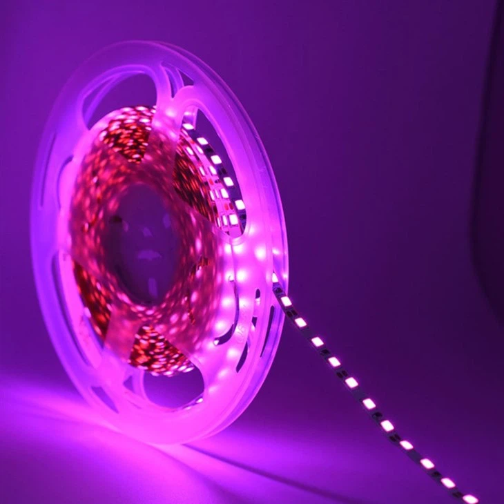 Multicolor Strip Light With Remote Control