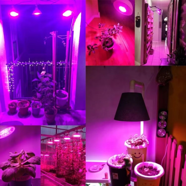 660nm IP65 Waterproof LED Grow Lights 660nm IP65 Waterproof LED Grow Lights