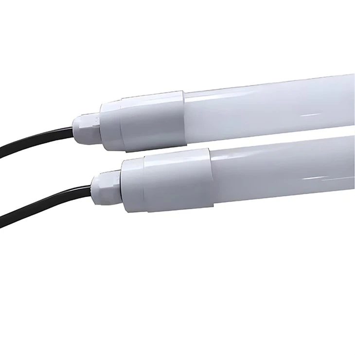 chicken laying light