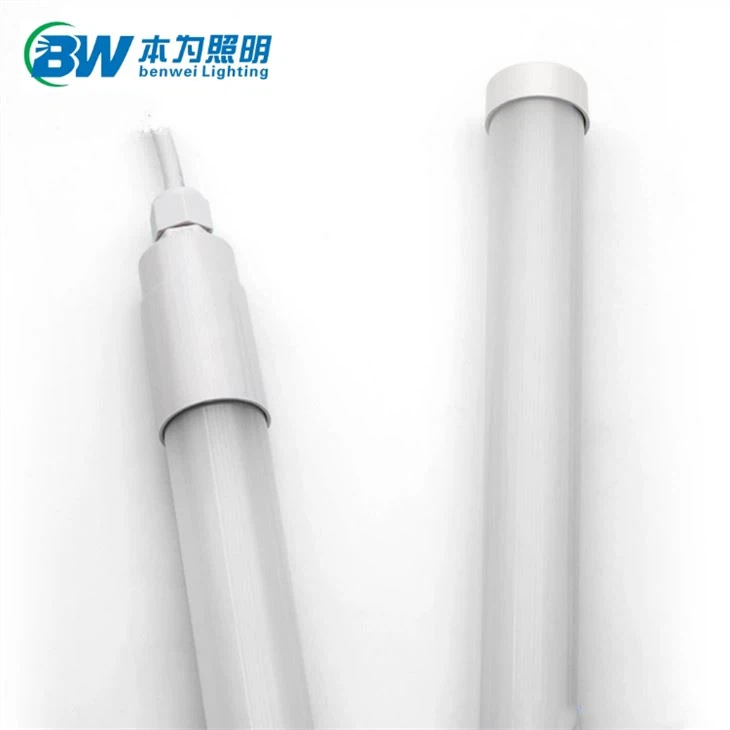 light inside chicken coop