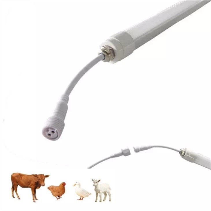 Pasture Light