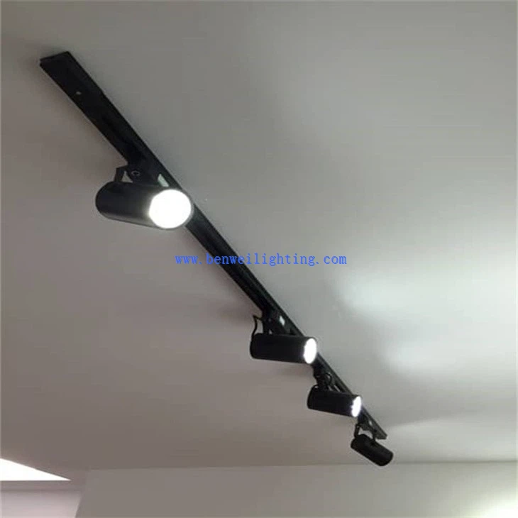 Pendant track light (2)