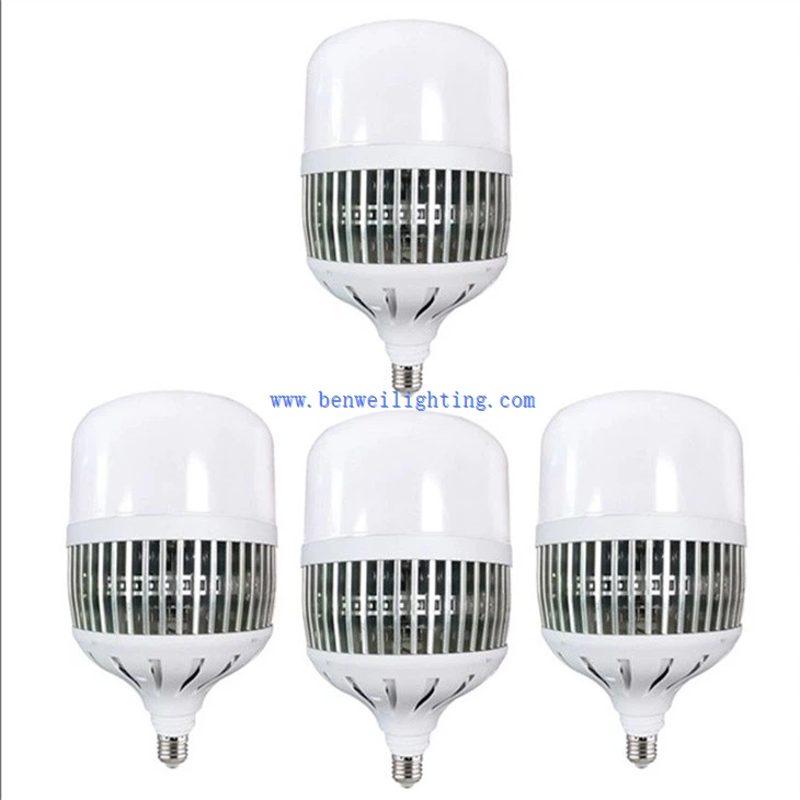 Plastic Cover Bulb (1)