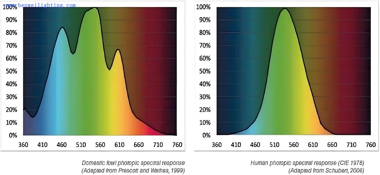 LED poultry pig farm tube lights LED poultry pig farm tube lights