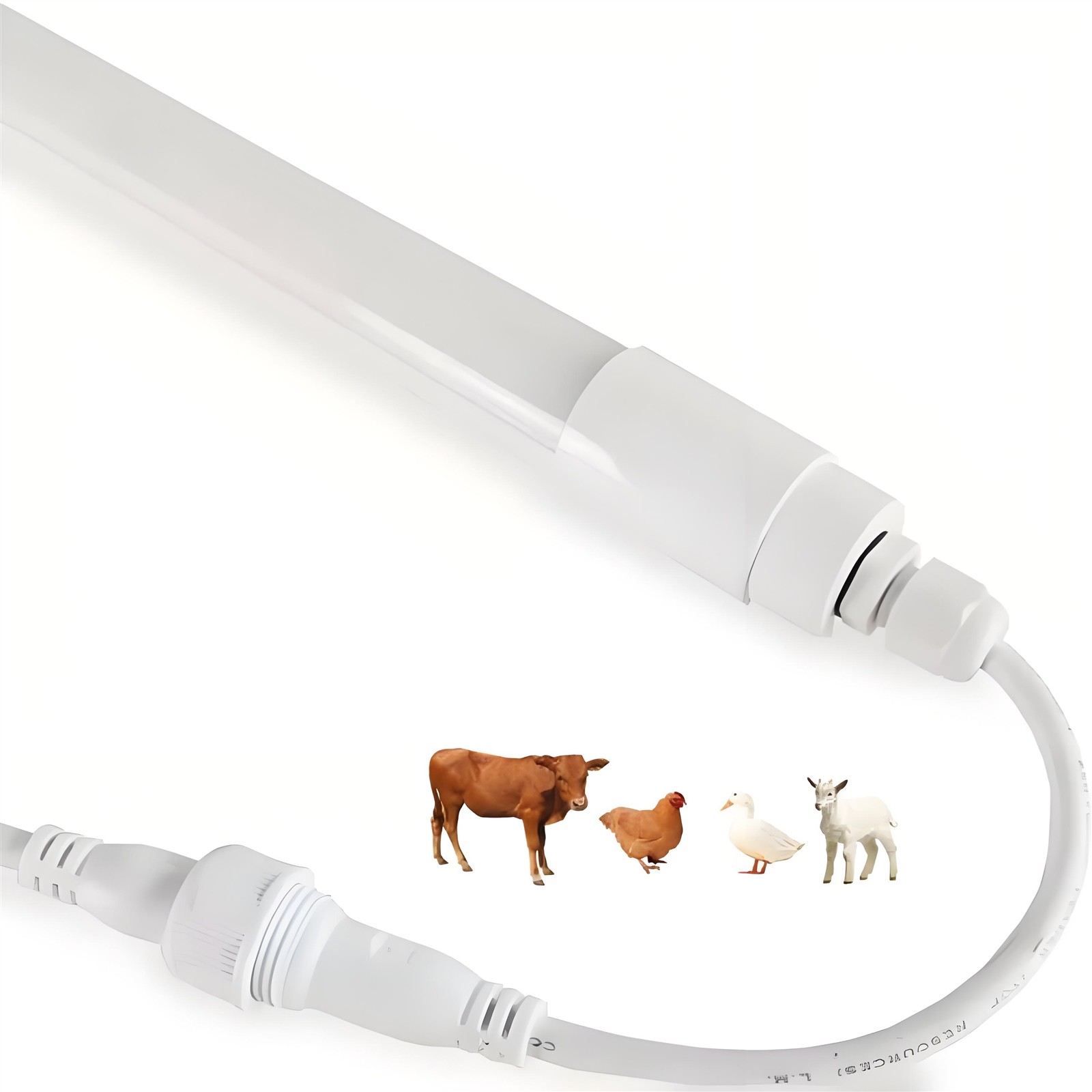 LED poultry tube lights for chicken LED poultry tube lights for chicken