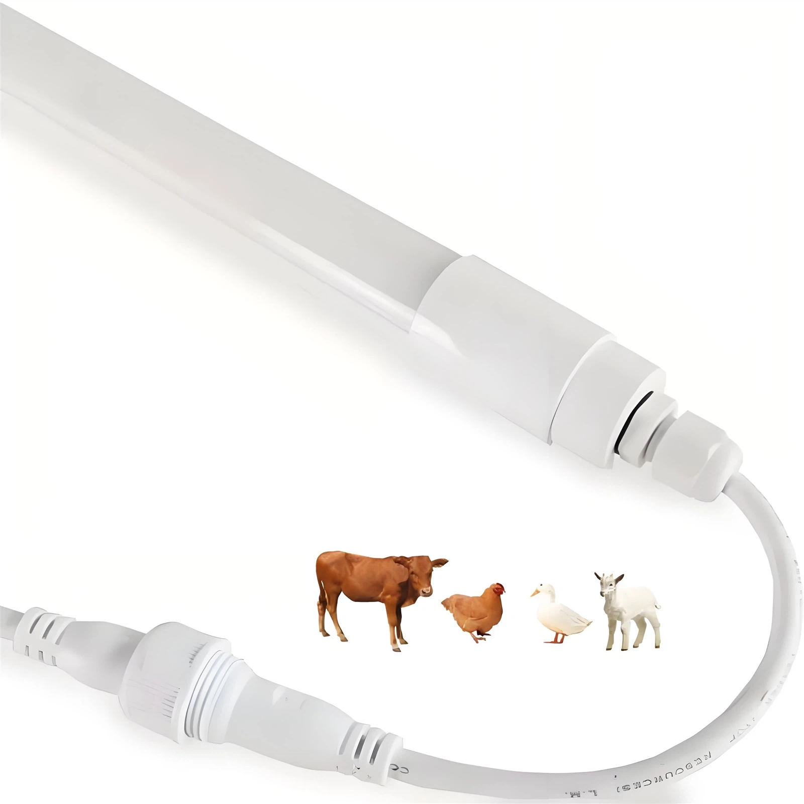 LED poultry tube lights for chicken LED poultry tube lights for chicken