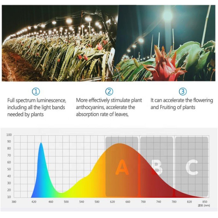 E27 LED Plant Lights E27 LED Plant Lights