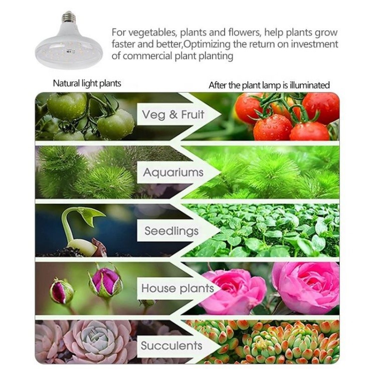 E27 LED Plant Light E27 LED Plant Light