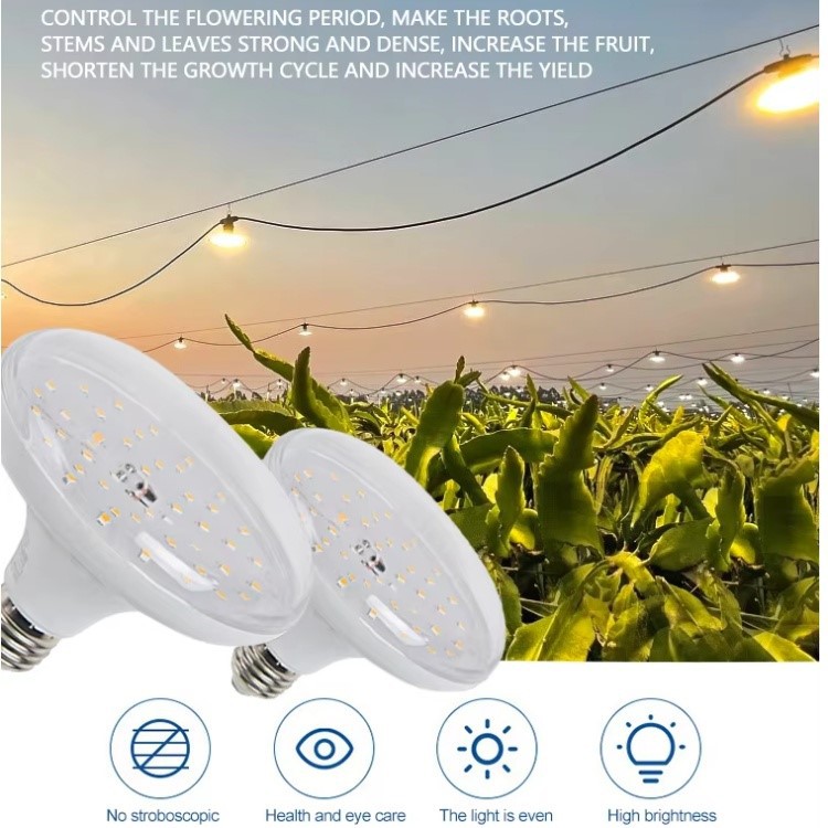 E27 LED Plant Lamp Lighting E27 LED Plant Lamp Lighting