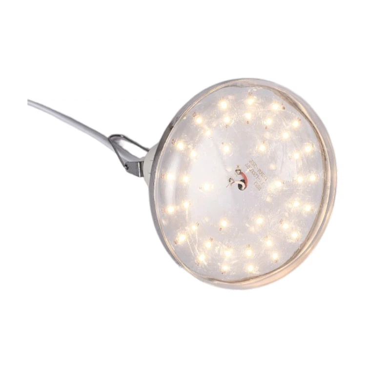 Fruit Led Grow Lights Fruit Led Grow Lights