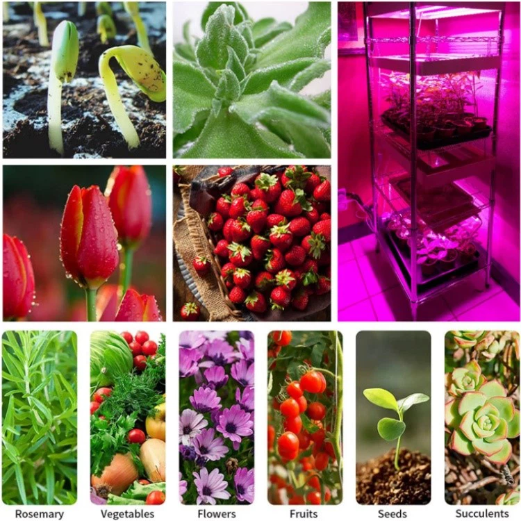 Full Spectrum T8 Tube Growing Lights Full Spectrum T8 Tube Growing Lights