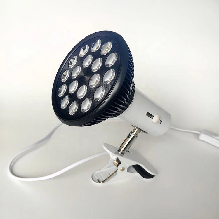 Red LED Therapy Lighting Red LED Therapy Lighting
